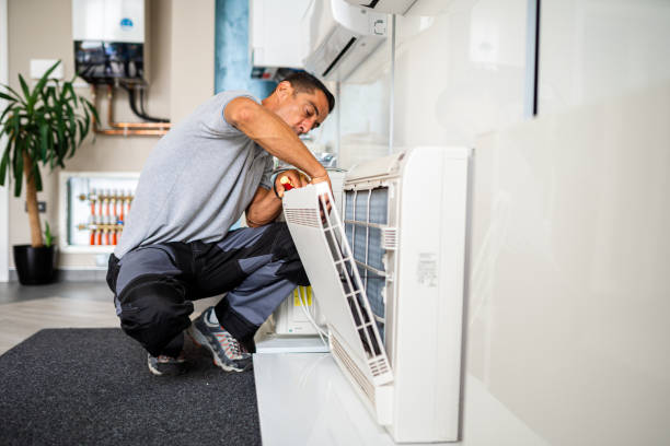 Best Home Air Vent Cleaning  in Shelburn, IN