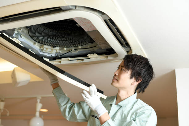 Best Professional Duct Cleaning Services  in Shelburn, IN