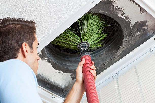 Best HVAC Air Duct Cleaning  in Shelburn, IN